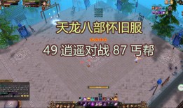 八部天龙广力菩萨图片(天龙八部横扫没伤害)